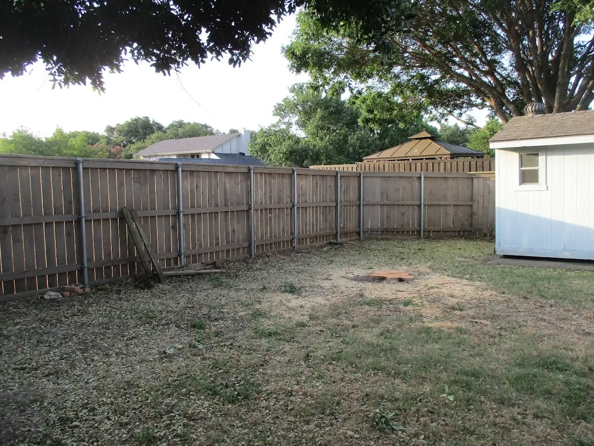Cleared yard after professional tree removal in Walling